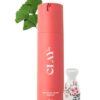 CLAYCO. Sake Glass Glow Essence with CICA and Licorice | Instant Glow | Hydrating Serum | Primer | Toner | Brightens