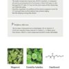 Beauty of Joseon Calming Serum - 30ML | Lightweight & Smooth Face Serum | Easy to Apply & Absorb | Suitable for Daily Skincare Routine | Compact & Travel-Friendly | Pack of 1 - Image 4