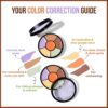 INSIGHT Cosmetics Natural Pro Concealer Palette-Corrector, Medium |Conceal |Correct |Contour |Waterproof |Crease Resistance |Long Lasting |Oil Control (Cr105-Corrector) - Image 3