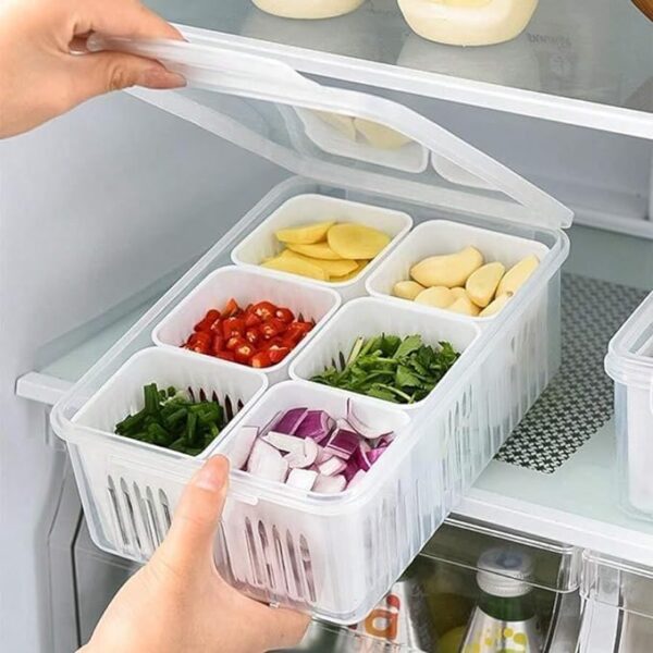 THE SR BRAND Plastic Fridge Storage Boxes Freezer Storage Containers, Container For Kitchen Storage Set, Storage In Kitchen, Vegetable Storage,Refrigerator Food Box(6 Grid Box(Pack Of 1)),Multicolor