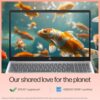 15, 13th Gen Intel Core i5-1334U, 8GB DDR4, 512GB SSD, (Win 11, Office 21, Silver, 1.59kg), Anti-Glare, 15.6-inch(39.6cm), FHD Laptop, Intel UHD Graphics, Backlit KB, 1080p FHD Camera, fd0220TU - Image 10